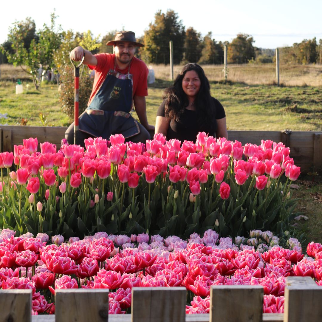 ASESORÍA DE PROYECTOS JARDINEROS