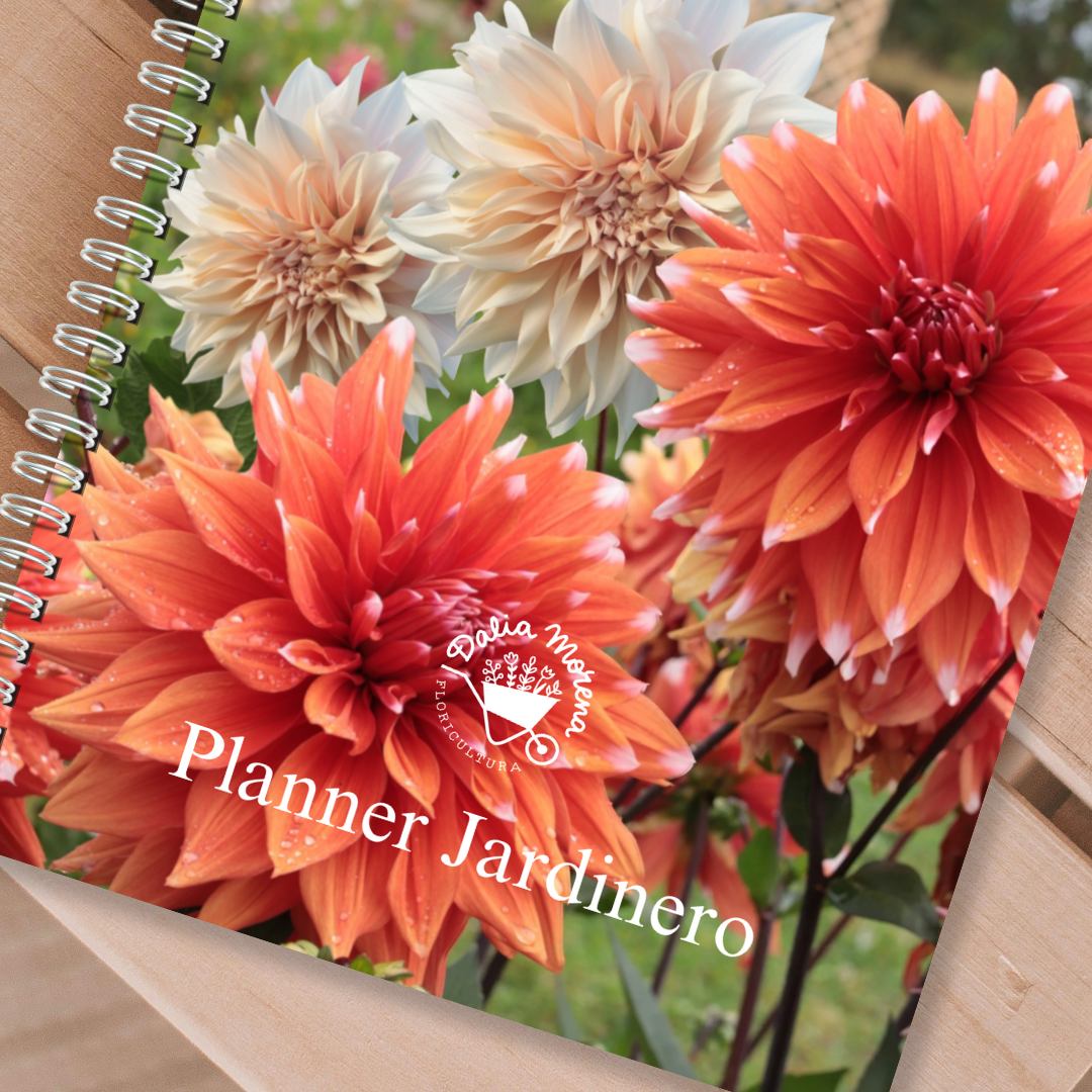 PREVENTA PLANNER JARDINERO 2026