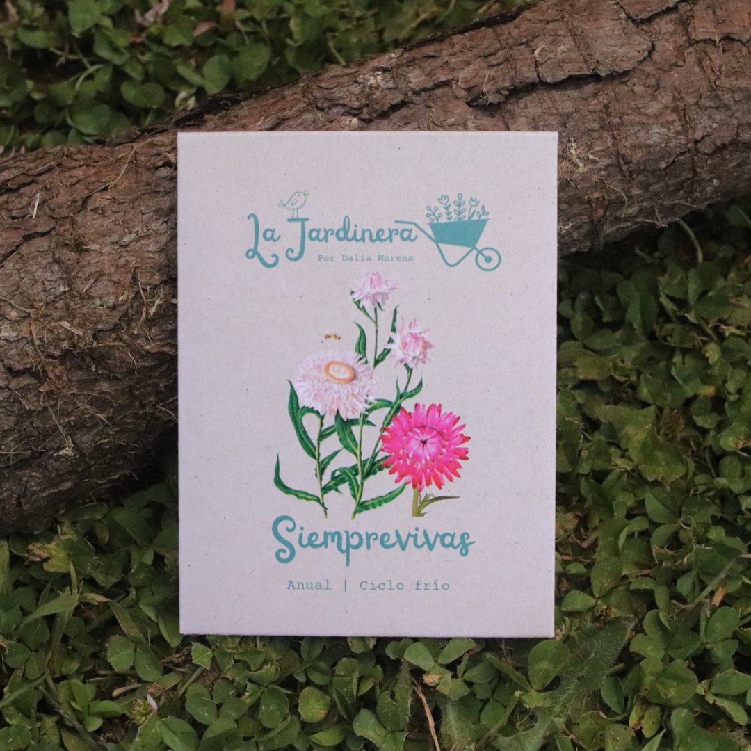 SEMILLAS SIEMPREVIVAS MIX