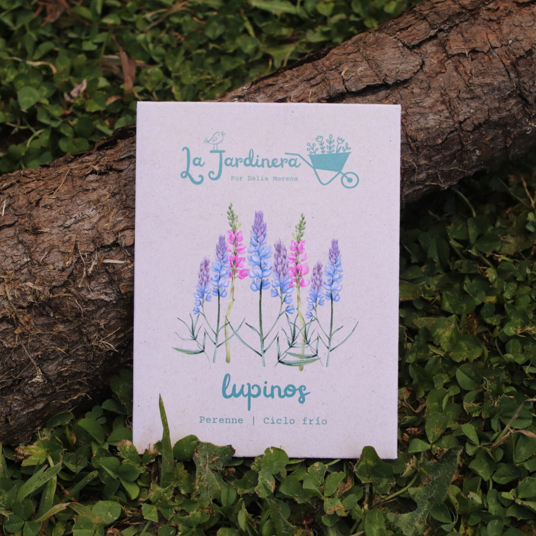 SEMILLAS LUPINOS MIX