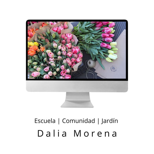 CURSO ANUAL ESCUELA Y COMUNIDAD DALIA MORENA 2026