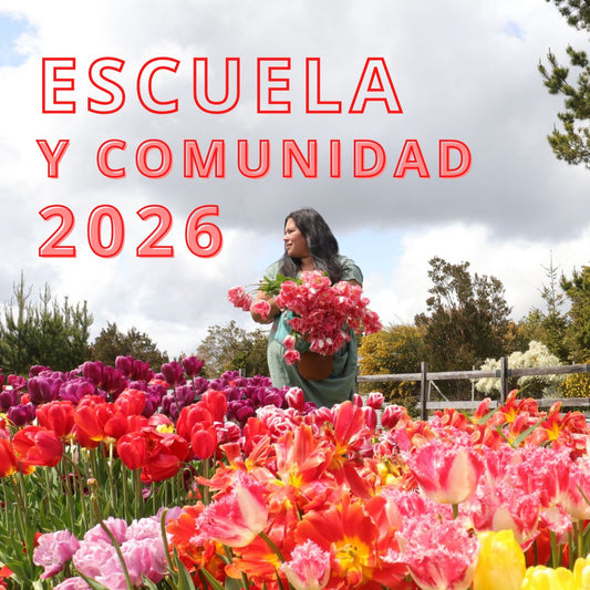 CURSO ANUAL ESCUELA Y COMUNIDAD DALIA MORENA 2026