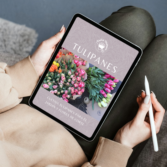 EBOOK TULIPANES