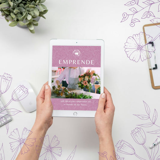 EBOOK 100 IDEAS PARA EMPRENDER