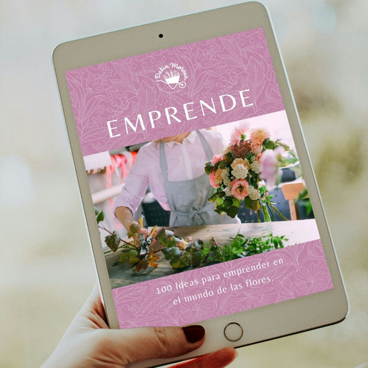 EBOOK 100 IDEAS PARA EMPRENDER