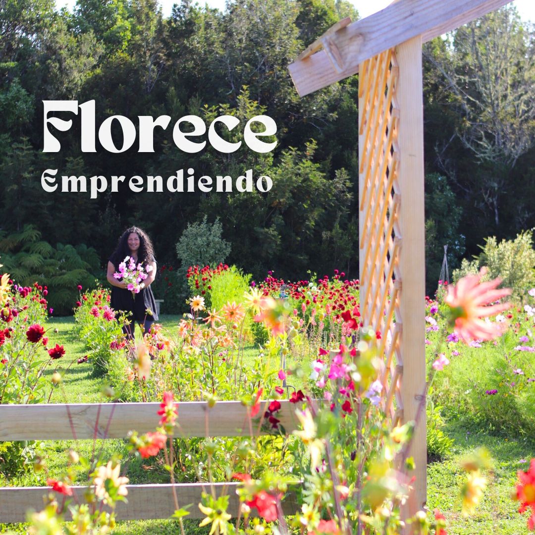 MENTORÍA DE NEGOCIOS FLORECE EMPRENDIENDO
