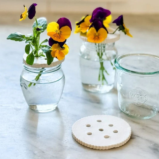 MINI TALLER FLOWER FROG (Grabación)