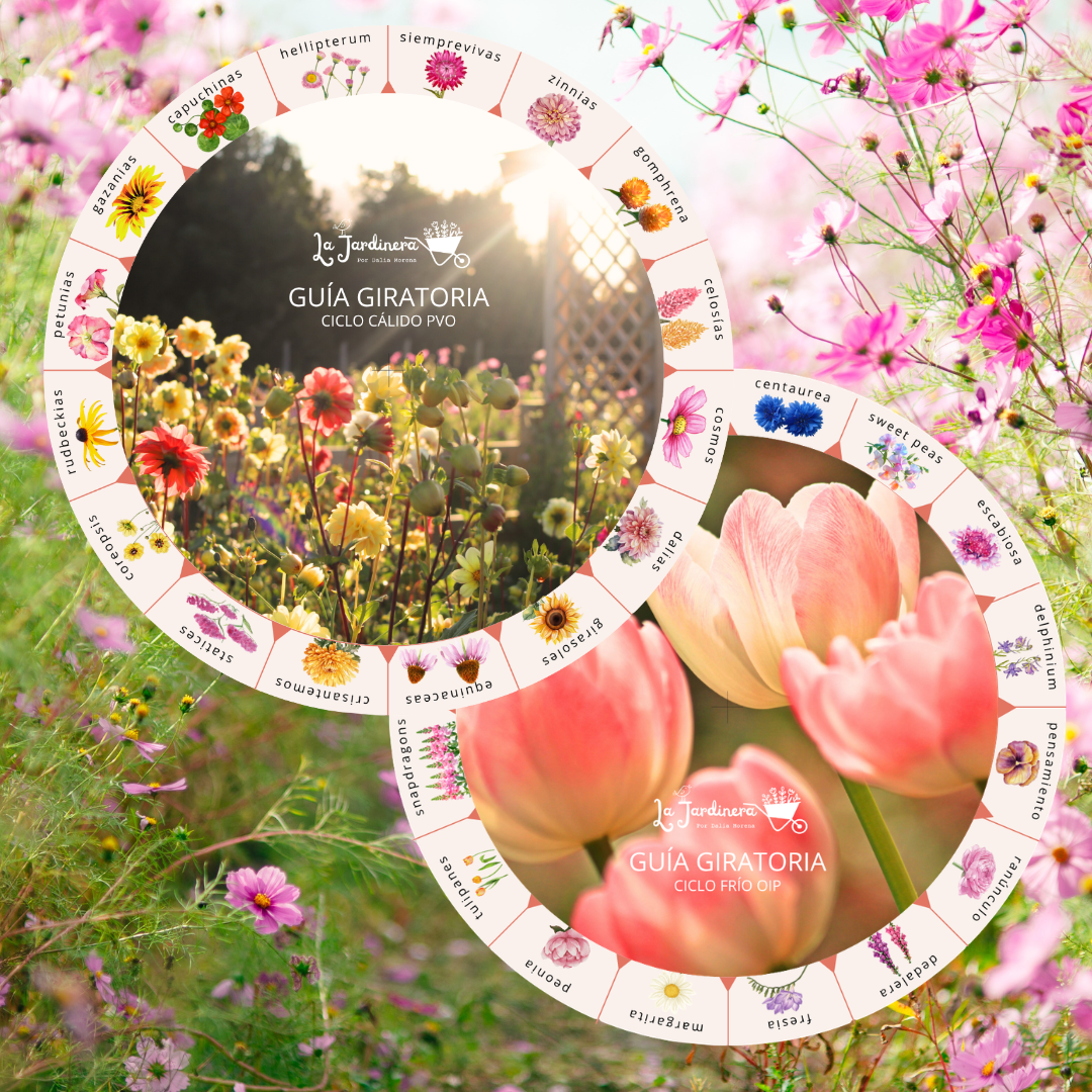 KIT 2 GUIAS GIRATORIAS CULTIVO DE FLORES