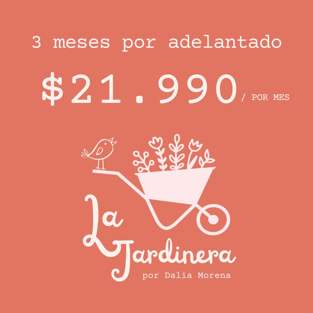 PLAN TRIMESTRAL LA JARDINERA