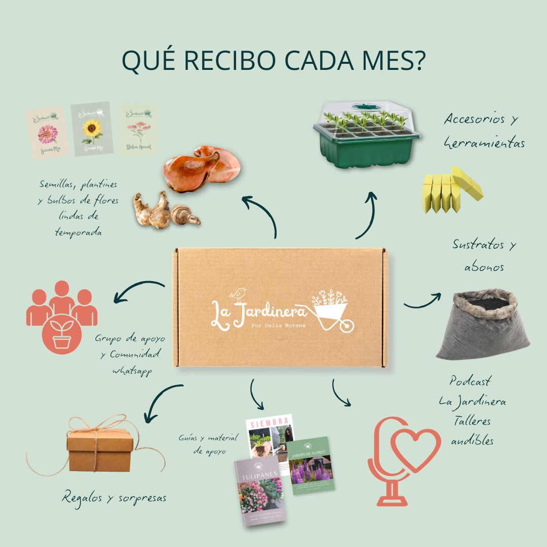 PREORDEN PLAN 2 MESES LA JARDINERA / SEPT Y OCT