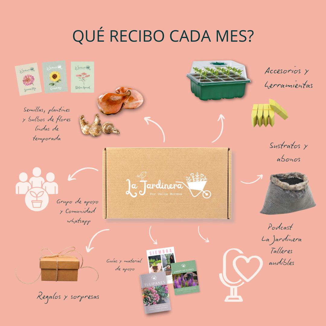 PREVENTA PLAN MENSUAL LA JARDINERA / OCTUBRE